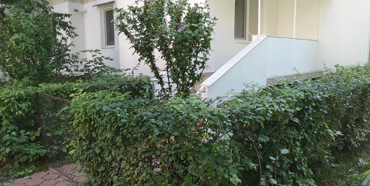 Diamond Apartment Târgu-Mureş Dış mekan fotoğraf
